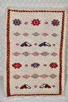 Akhnif Berber Rug - Desert Dream Masterpiece
